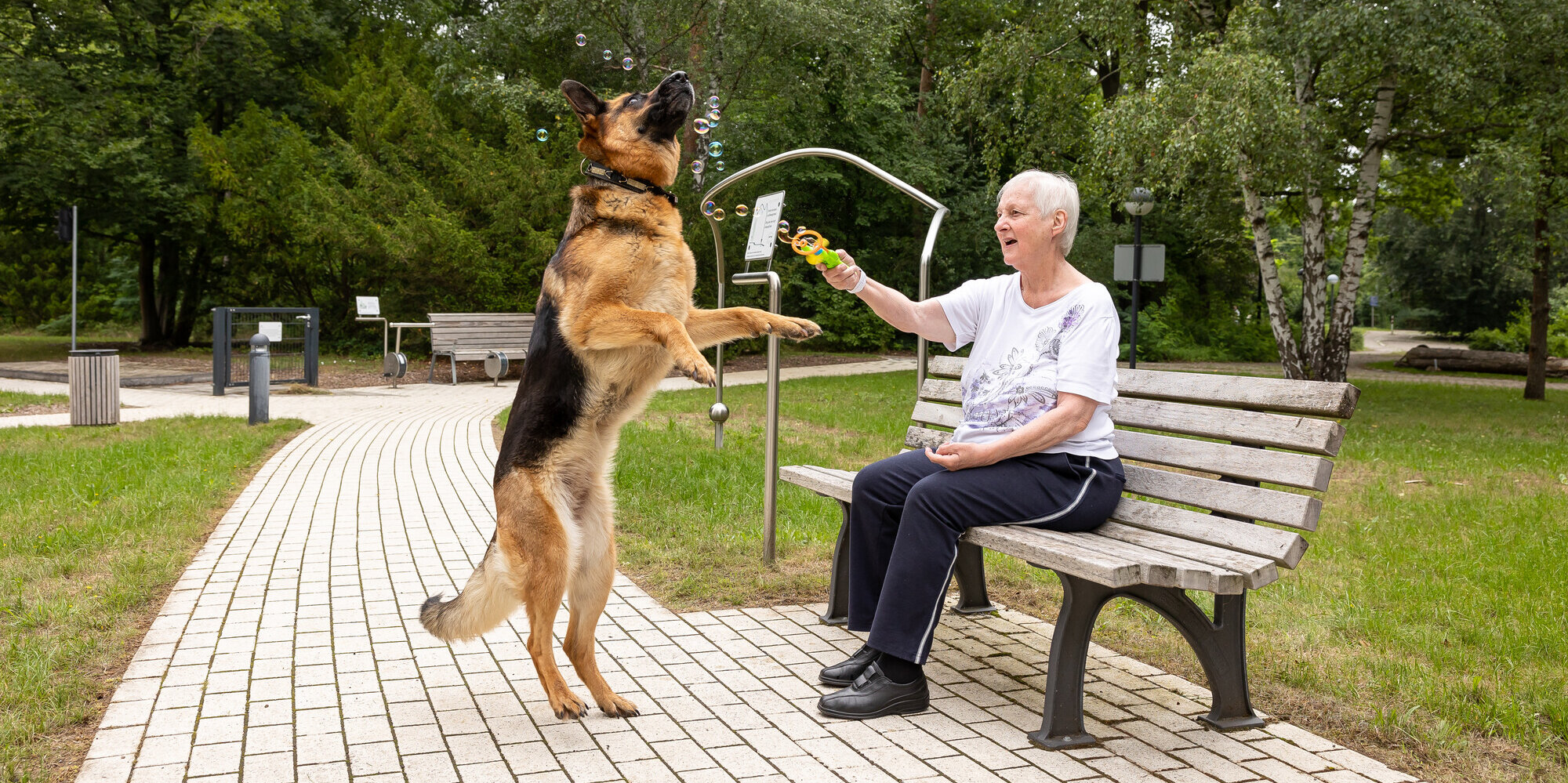 Frau sitzt auf einer Bank und spielt mit einem Therapiehund.