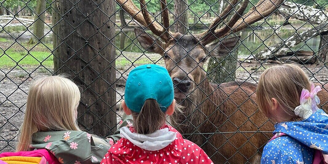 Kindersommeruni 2025 - Besuch im Wildgehege Kinder stehen vor einem Hirsch