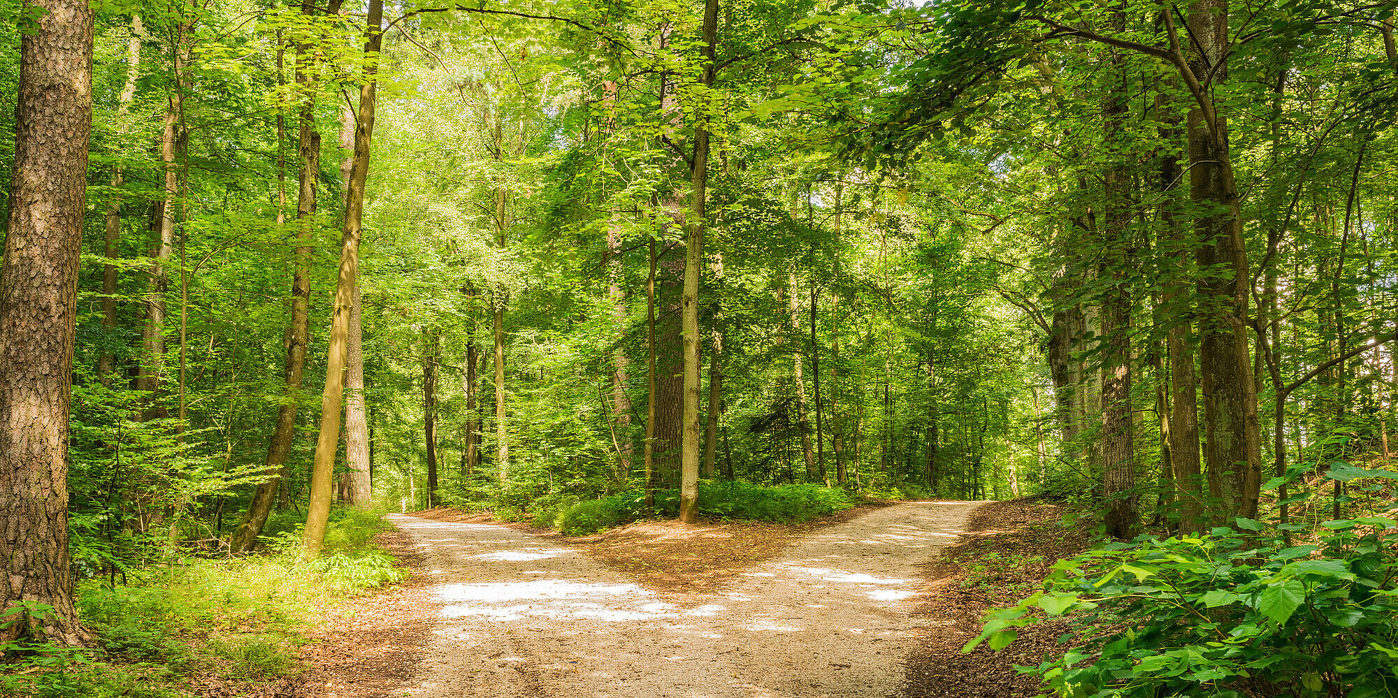 Die ethische Beratung