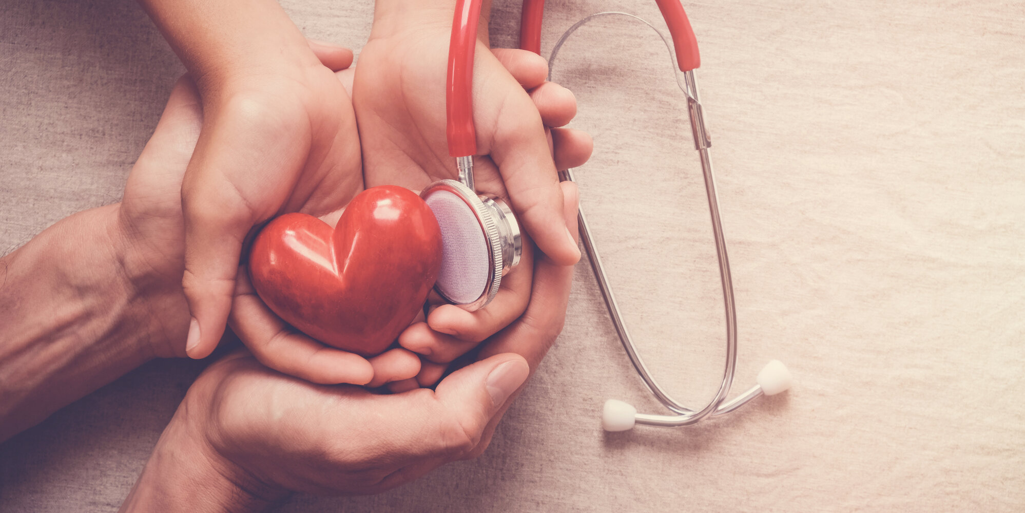 Mehrere Hände halten zusammen ein rotes Stein-Herz und ein Stethoskop.