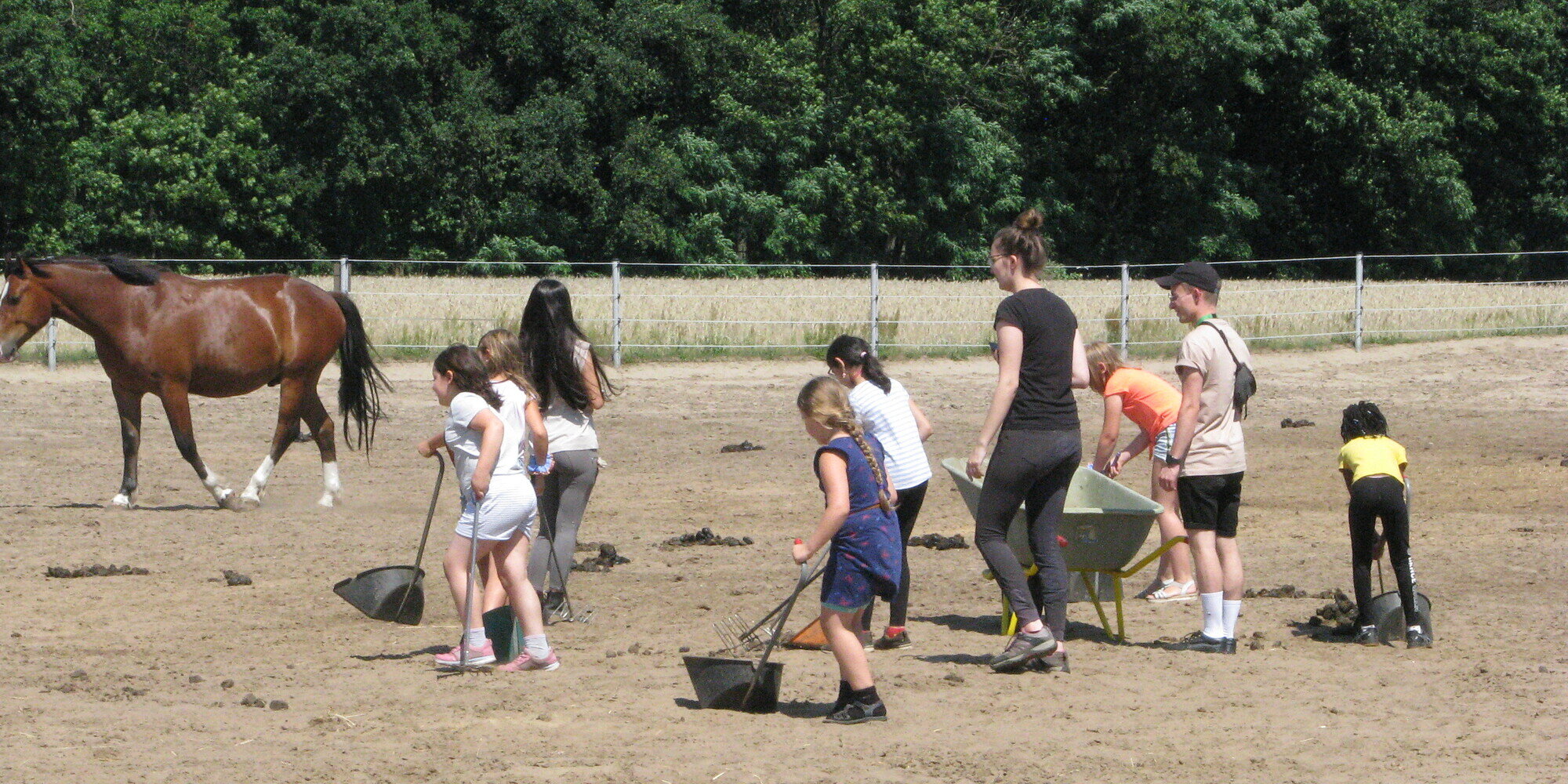 Kinder sammeln Pferdekot auf