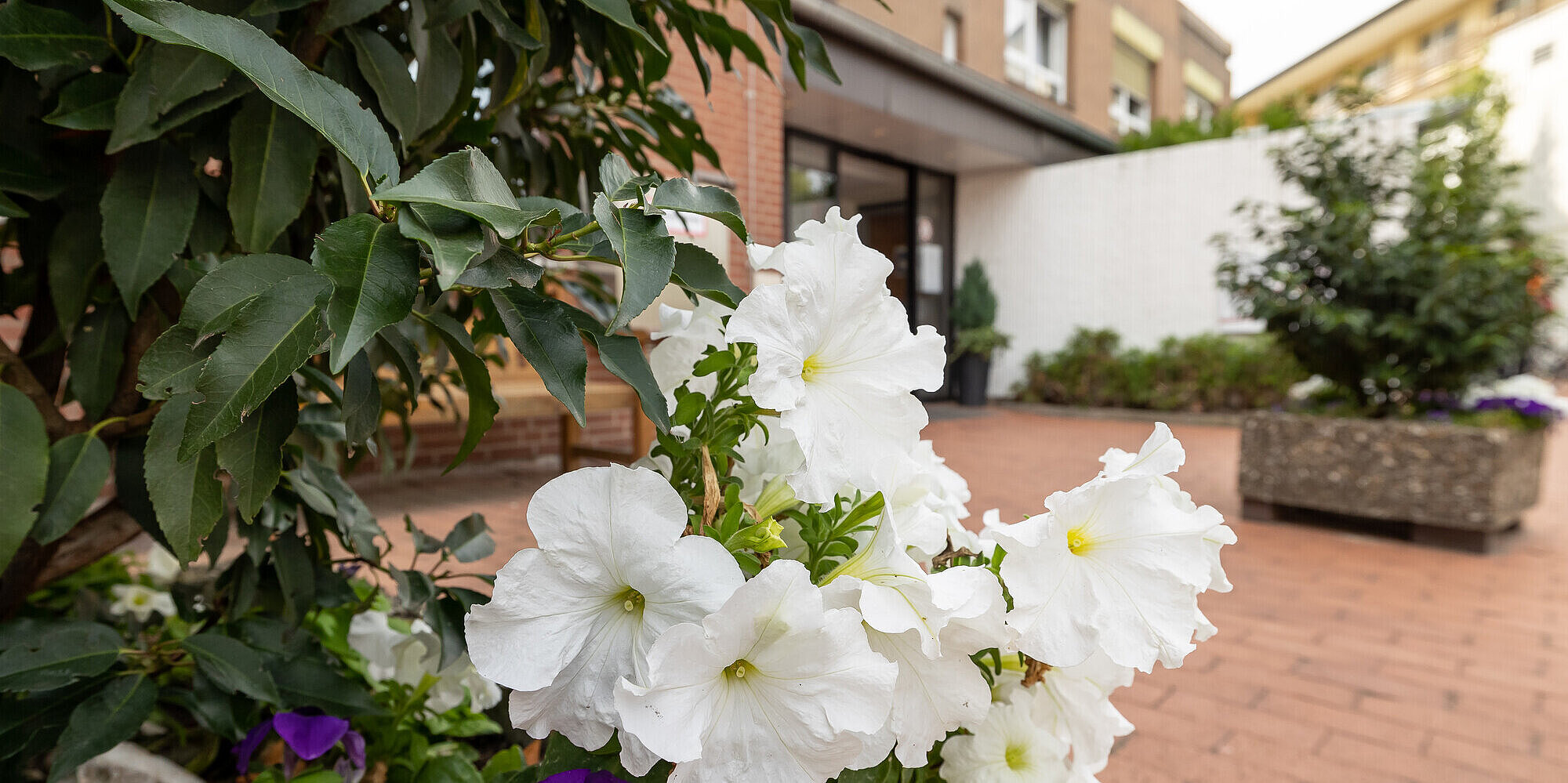 Blick auf den Eingang des Pflege & Wohnen Martinshof