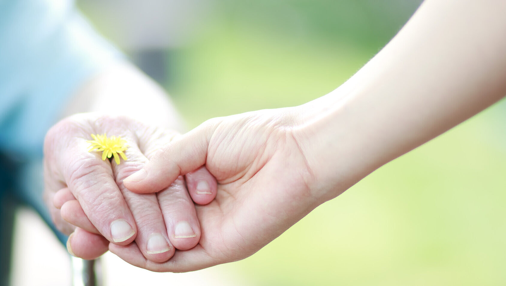 Helfen aus Überzeugung Zwei sich haltende Hände, eine mit einer Löwenzahnblüte